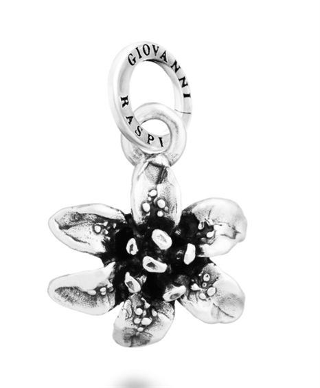 Charm Giovanni Raspini in Argento 12716 - 12716